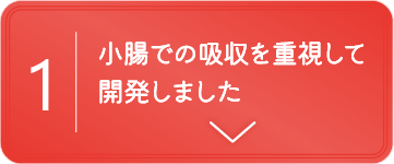 小腸での吸収を重視して開発しました