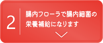 腸内フローラで腸内細菌の栄養補給になります