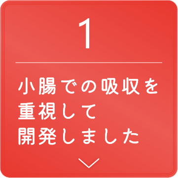 小腸での吸収を重視して開発しました
