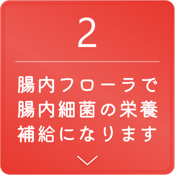 腸内フローラで腸内細菌の栄養補給になります