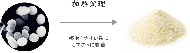 加熱処理 吸収しやすい形に濃縮