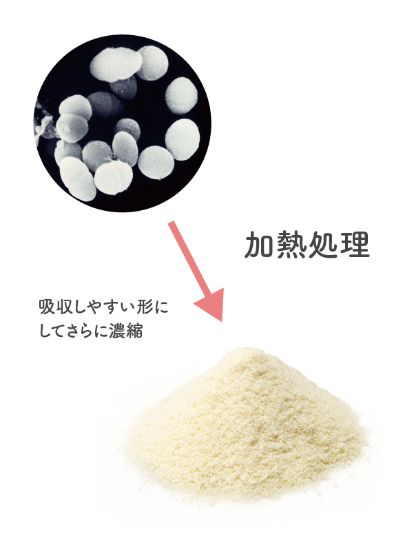 加熱処理 吸収しやすい形に濃縮